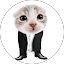 Алексей гуц