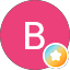 Bylja kis